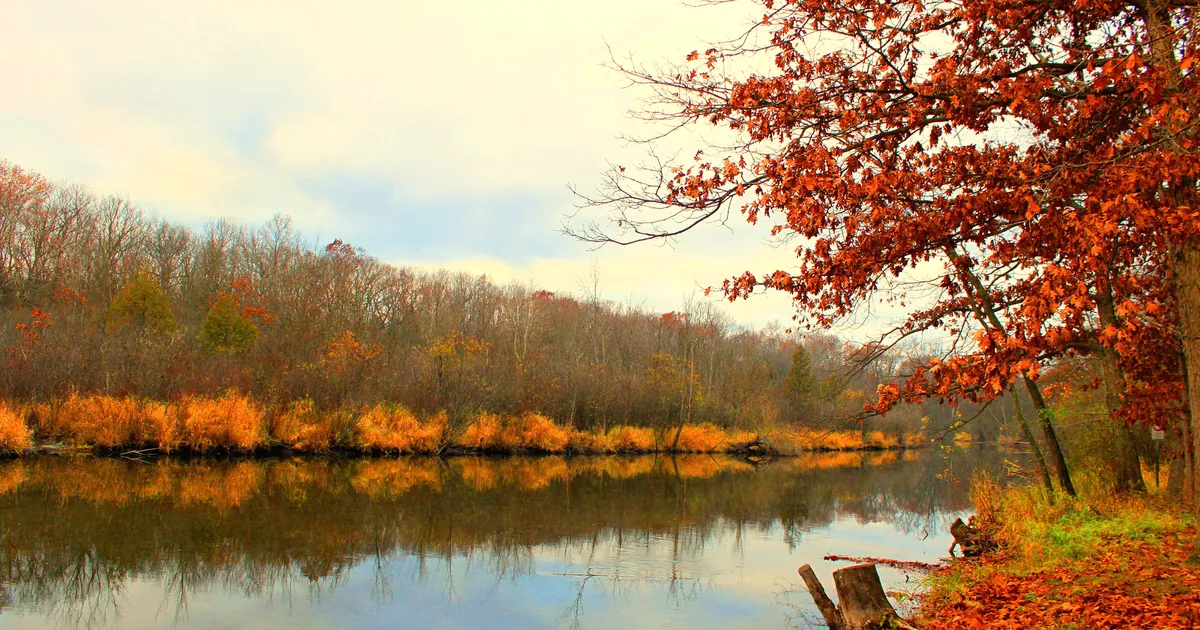 Fall on the Huron River in Huron Meadows Metropark, near High Hills Arbor.