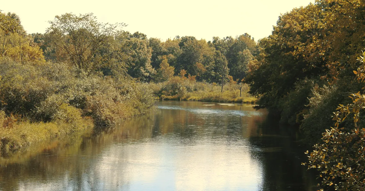 The Huron River from the Kensington Road bridge in Green Oak Township, near Island Lake Recreation Area.